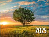 Kalendorius trigubas sieninis su juostele 2024 AGAPIC ZODIAKAS