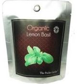 Minisodas Ekologiškas Bazilikas