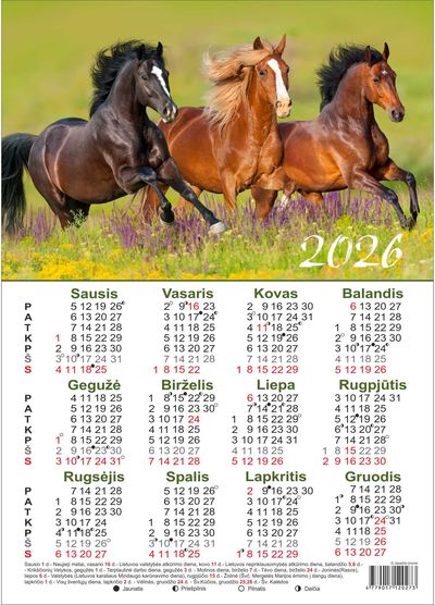 Kalendorius sieninis plakatas 2026 A4