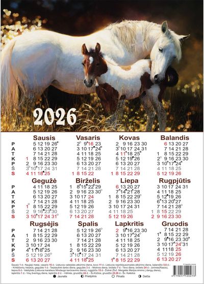 Kalendorius sieninis plakatas 2026 A4