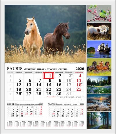 1 mėn. sieninis mono kalendorius