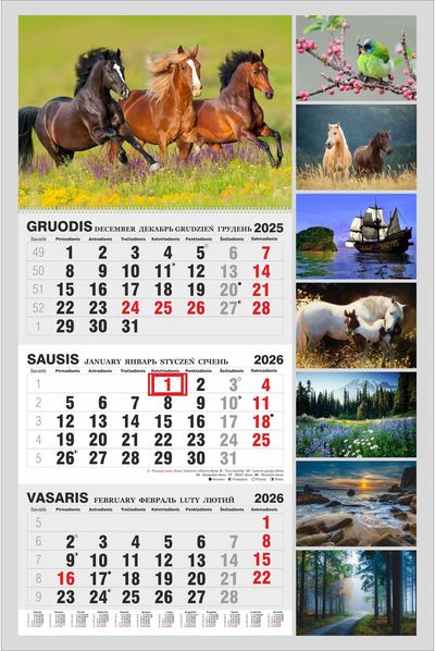 Sulankstomas 3 spiralių kalendorius 2026