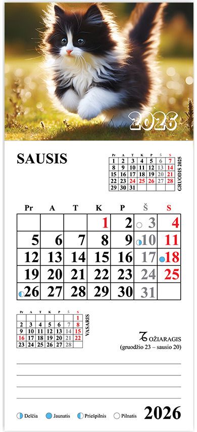 Kalendorius magnetinis 2026