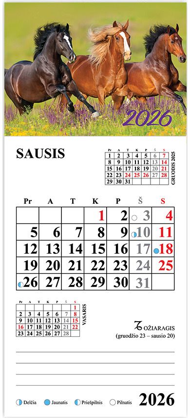 Kalendorius magnetinis 2026