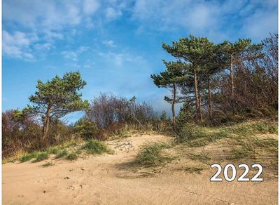 Kalendorius 1 dalies 2022 įv. rūšys