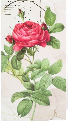 Išskirtinis piniginis atvirukas