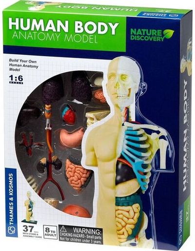 Mokslinis rinkinys žmogaus anatomija Thames & Kosmos