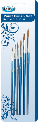 Teptukų rinkinys CENTRUM, 6 vnt (2,4,6,8,10,12), natūralių šerių