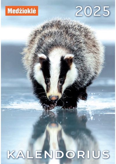 Sieninis kalendorius 2024 Medžioklė