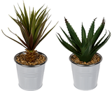 Dekoratyvinis sukulentas METAL POT, 22 cm