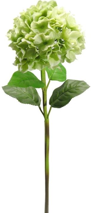 Dirbtinė gėlė ŽALSVA HORTENZIJA, 80 cm