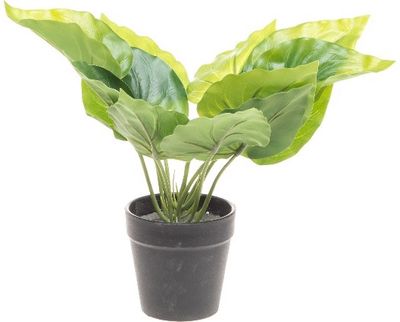 Dirbtinis namų augalas 4LIVING, 42 cm