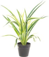 Dirbtinis namų augalas 4LIVING, 42 cm