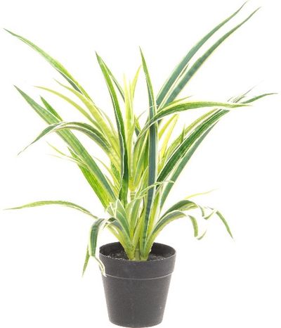 Dirbtinis namų augalas 4LIVING, 42 cm