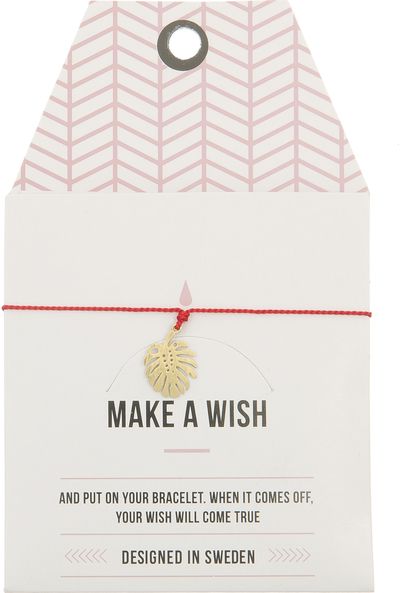 Apyrankė MAKE A WISH MONSTERA GOLD