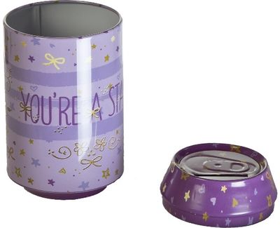 Metalinė taupylė STAR