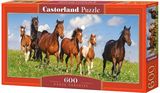 Dėlionė CASTORLAND 600 Horse Paradise