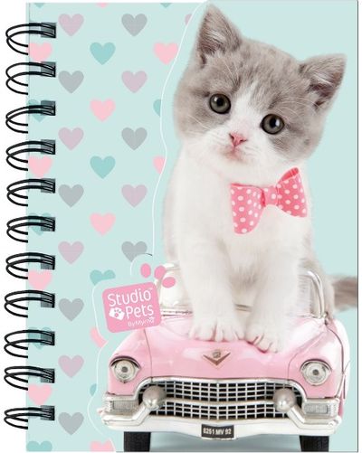 Užrašinė STUDIO PETS Cat&Car su spirale, 14,5x10,5 cm, 80 l.