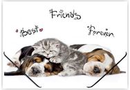 Aplankas plastikinis PANTA PLAST GYVŪNAI su guma, A4