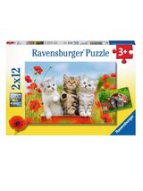 Dėlionė RAVENSBURGER Kačiukų nuotykiai, 2 vnt, 12d.