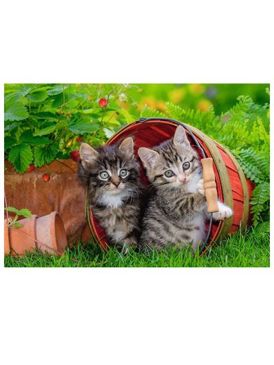 Dėlionė RAVENSBURGER Kačiukų nuotykiai, 2 vnt, 12d.