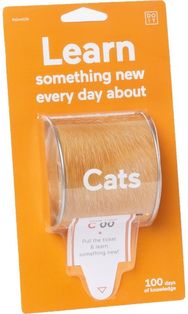 100 dienų iššūkis LEARN SOMETHING NEW ABOUT CATS