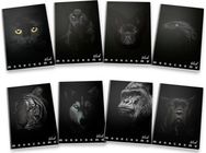 Sąsiuvinis Pigna MONOCROMO BLACK, A4, 38 l., langeliais, įv. rūšių