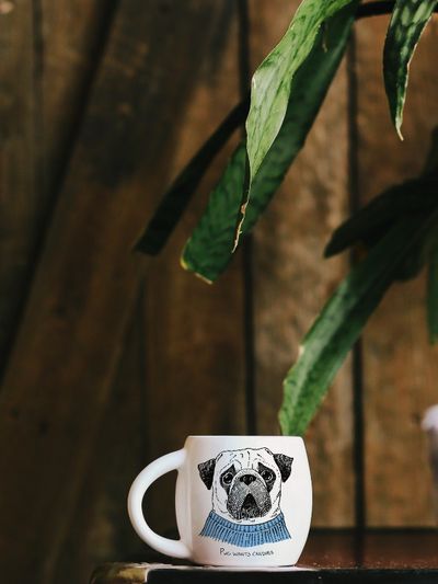 Puodelis PUG, 450 ml