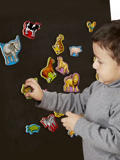 Medinių magnetų rinkinys M&D ANIMAL