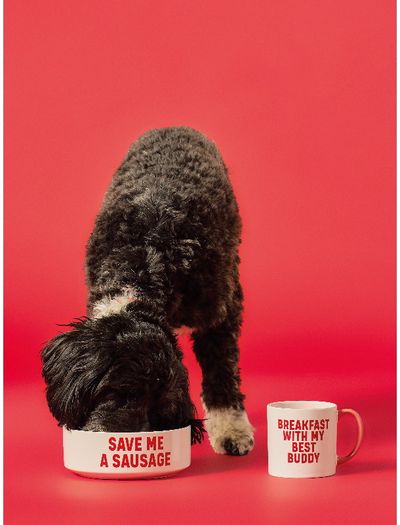 Dovanų rinkinys DOG (puodelis+dubenėlis augintiniui)