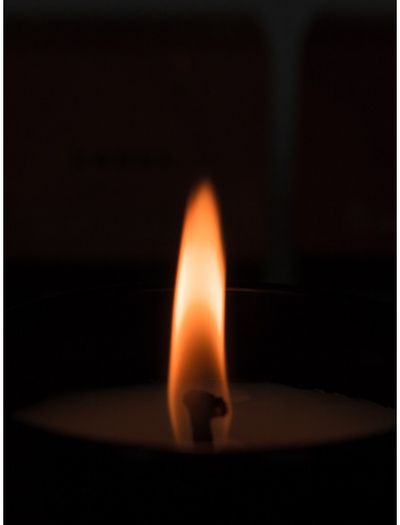 Aromatinė žvakė ODORO MOOD SANTALAS