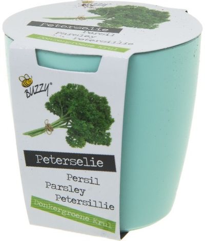 Augalas vazonėlyje su magnetu HERBS