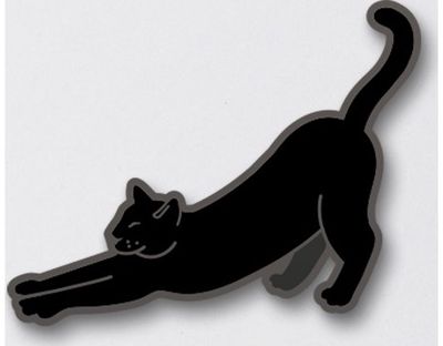 Ženkliukas PANTHER