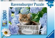 Dėlionė RAVENSBURGER Kačiukas, 300d.