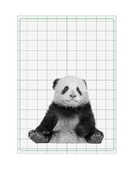 Virtuvinis rankšluostis PANDA, 50x70cm