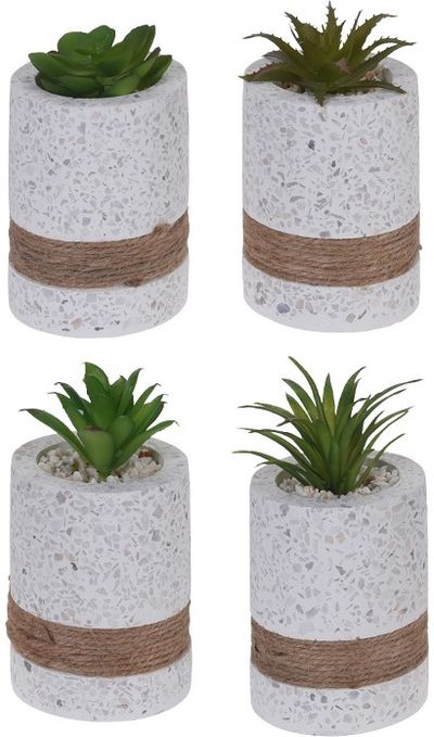 Dirbtinis sukulentas CEMENT DOTS ROPE, 9 cm