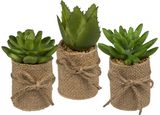 Dirbtinis sukulentas JUTE POT, 5x10 cm