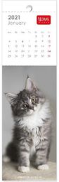 Kalendorius LEGAMI BOOKMARK 2021 - 5.5X18 cm KITTENS