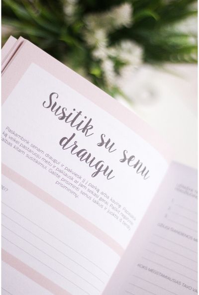Dienoraštis Seik MEILĖ SAU