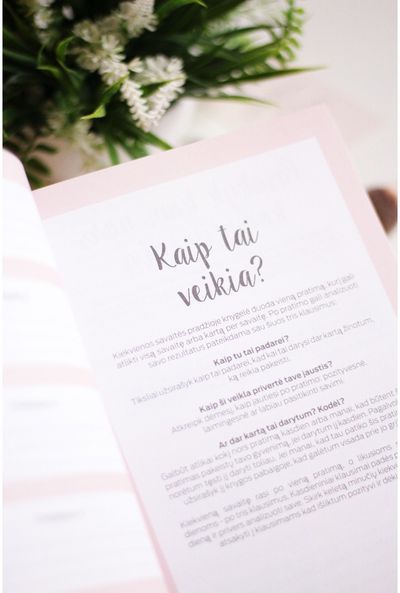 Dienoraštis Seik MEILĖ SAU