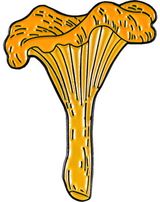 Ženkliukas VOVERAITĖ