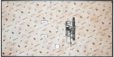 Segtuvas HARRY POTTER GLASSES su 2 žiedais, A4