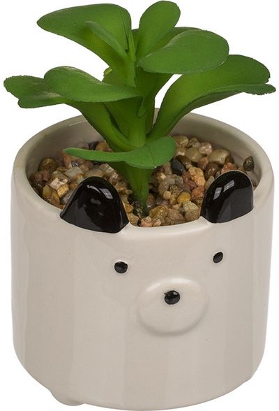 Dirbtinis sukulentas ANIMAL FACES WHITE, 5x13 cm