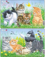 Dėlionė LARSEN Kačiukai 10 d. 28,5x18,3 cm
