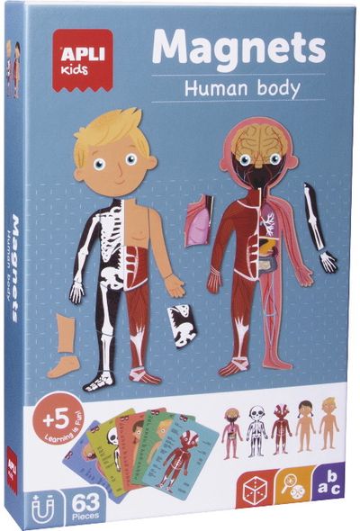 Magnetų žaidimas APLI THE HUMAN BODY (anglų k.)