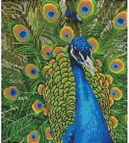 Deimantinė mozaika DD PEACOCK 37x50