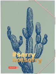 Aplankas plastikinis Brunnen HARMONY su guma, A3