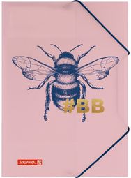 Aplankas plastikinis Brunnen HARMONY su guma, A4