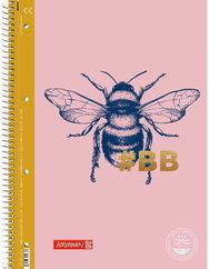 Sąsiuvinis Premium HARMONY su spirale, A4, 90 g, 80 l., langeliais