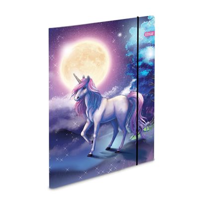 Aplankas kartoninis BE MAGICAL su guma, A4